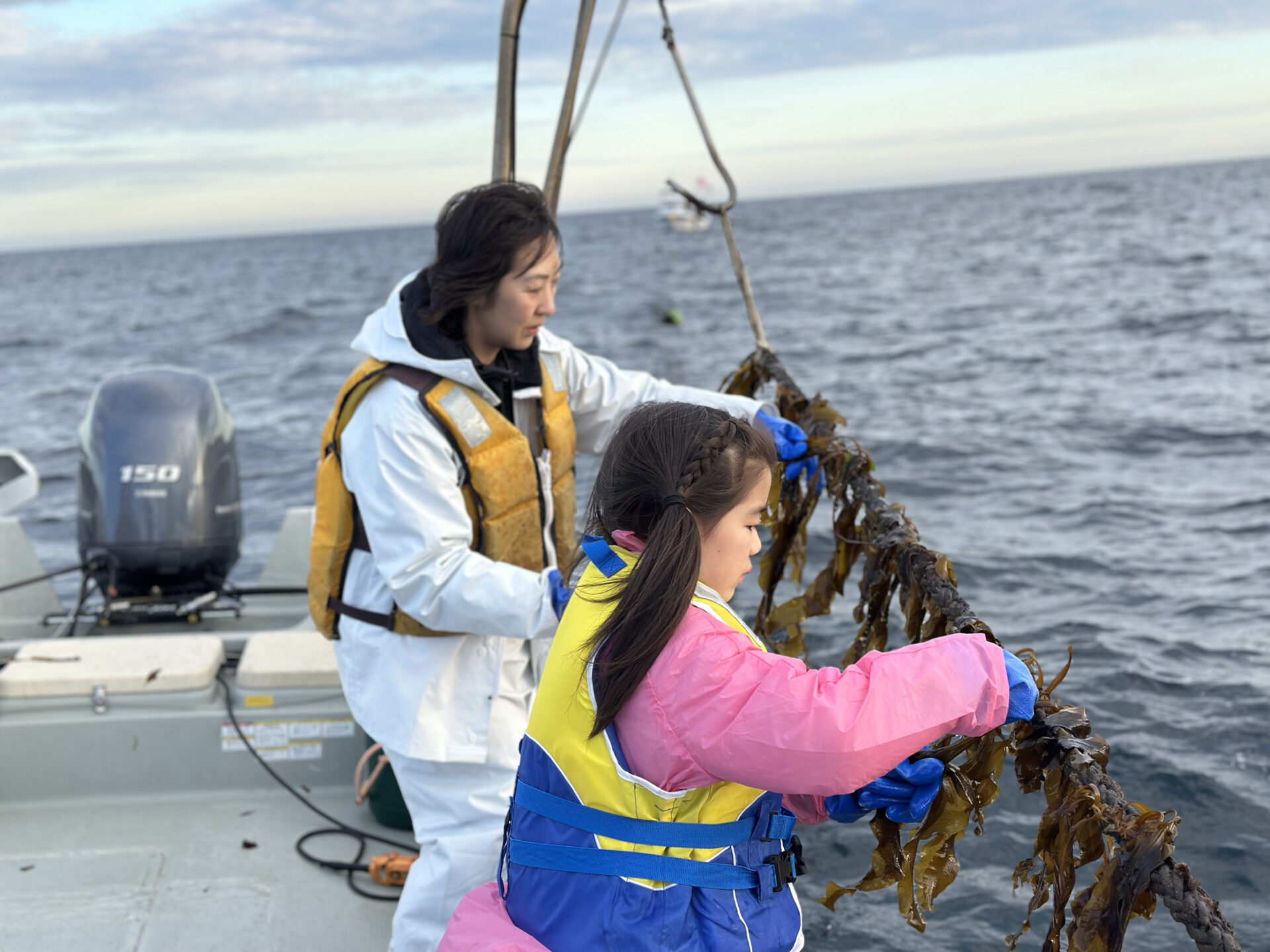 漁師さんとワカメ漁体験