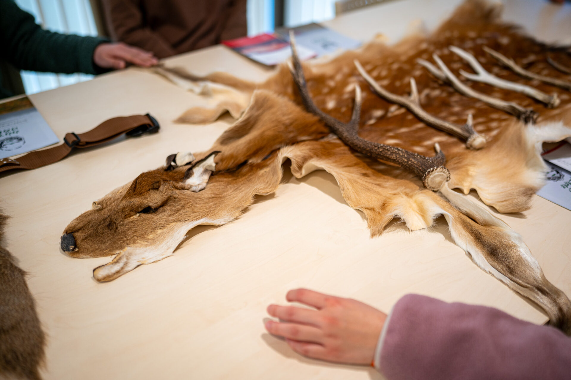 出発前にミニレクチャー!